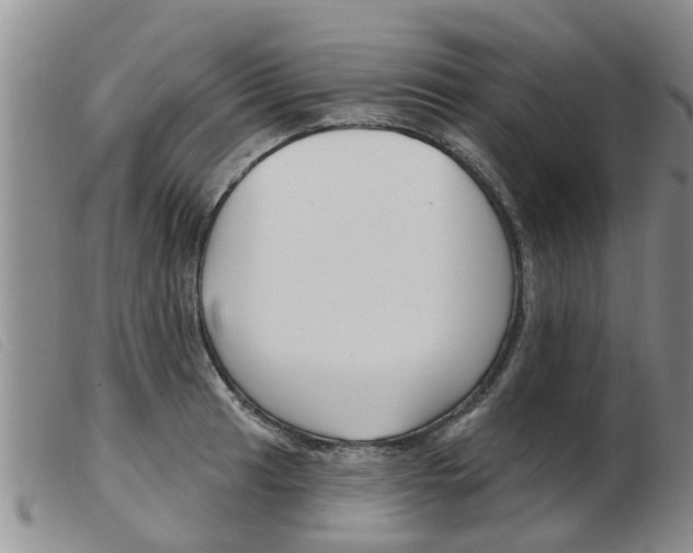 X0000103931041200809191118
