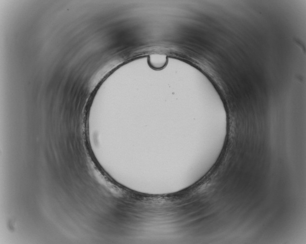 X0000103931042200809191118
