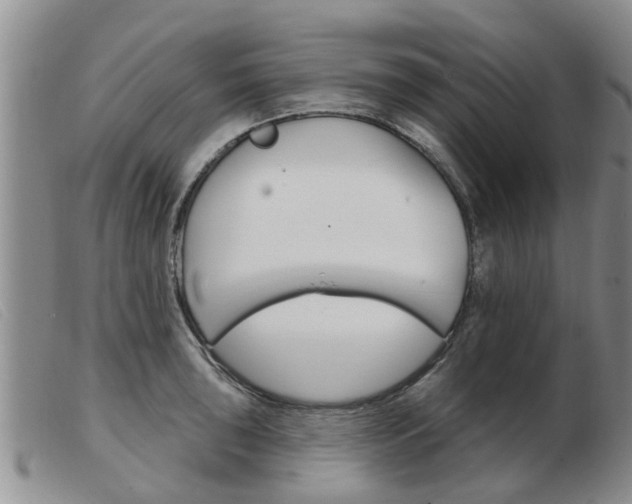 X0000103931043200809191118
