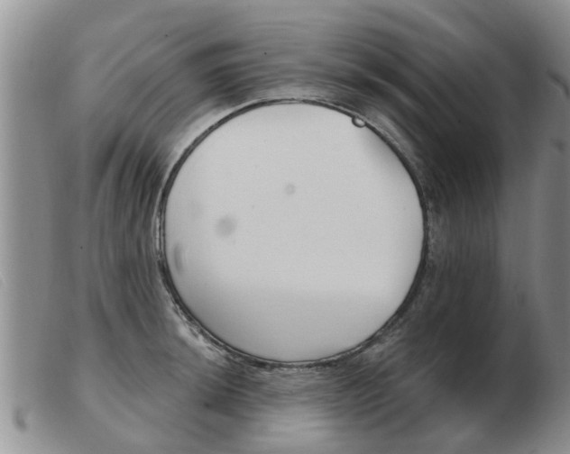 X0000103931044200809191118