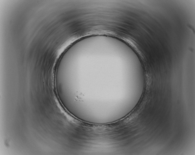 X0000103931046200809191118