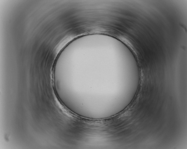 X0000103931047200809191118