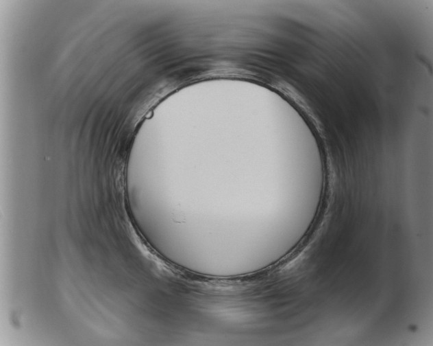 X0000103931049200809191118