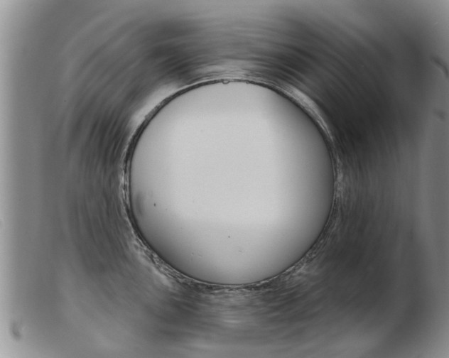 X0000103931051200809191118