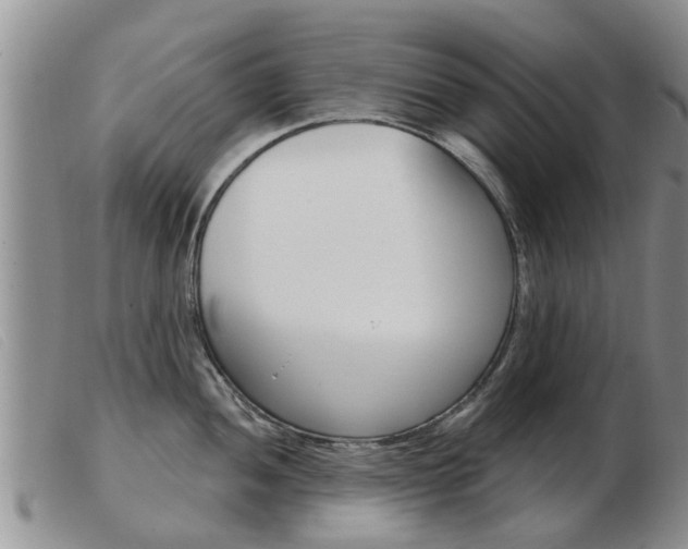 X0000103931052200809191118