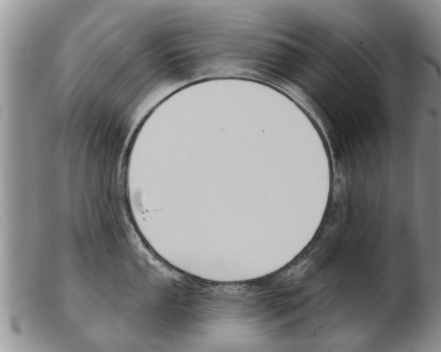 X0000103931053200809191118