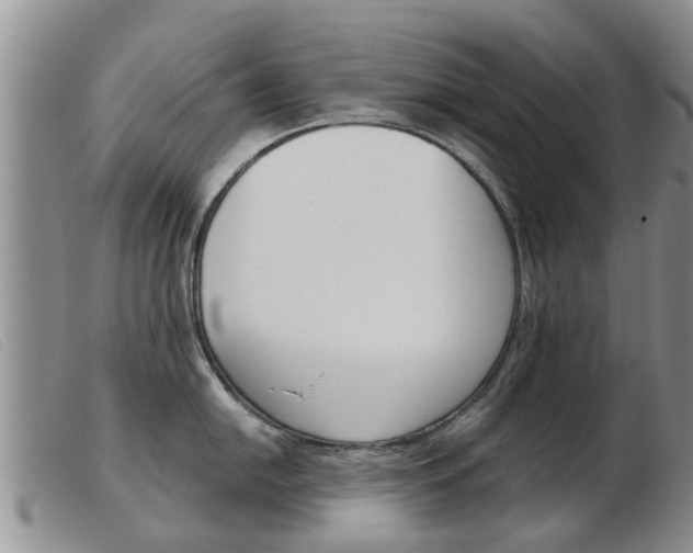 X0000103931054200809191119
