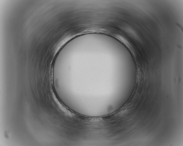 X0000103931055200809191119