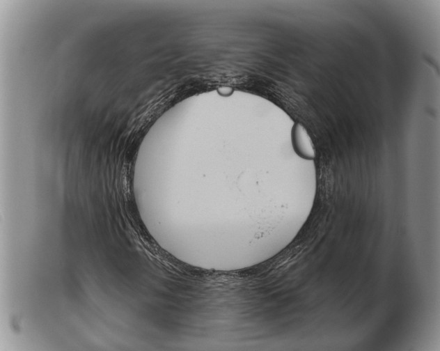 X0000103931058200809191118