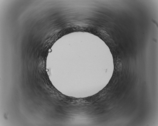 X0000103931061200809191118