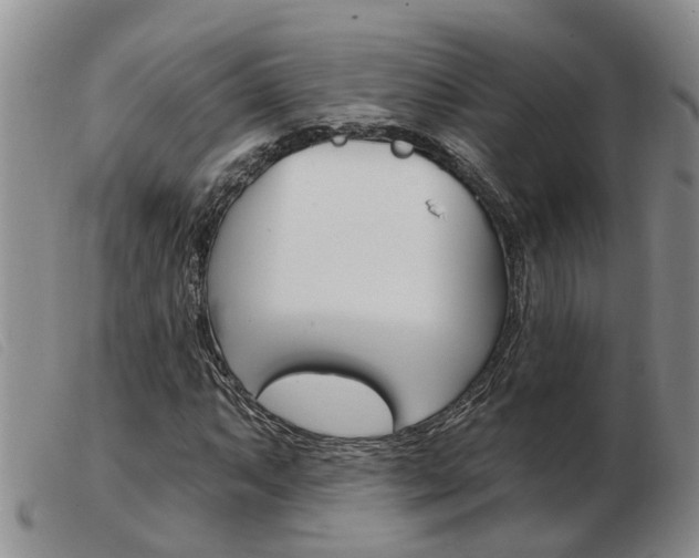 X0000103931063200809191118