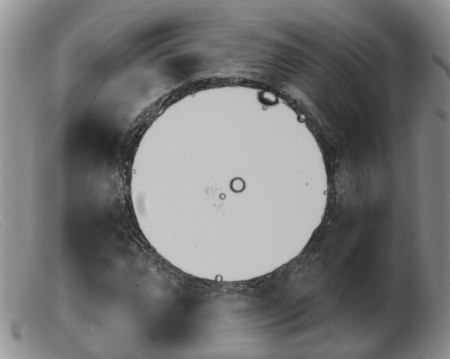 X0000103931064200809191118