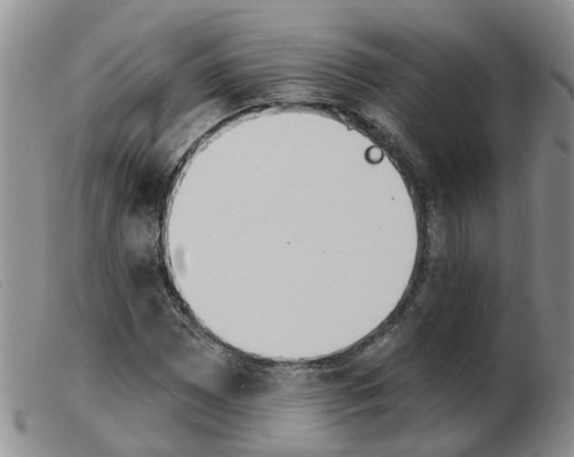 X0000103931065200809191118