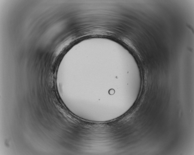 X0000103931067200809191118