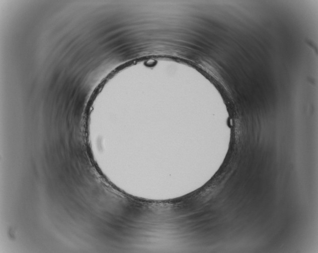 X0000103931068200809191118