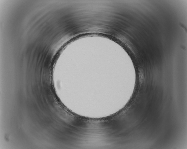 X0000103931069200809191118