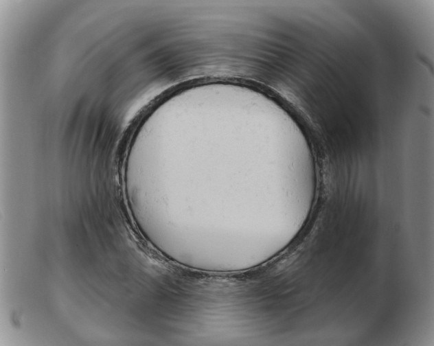 X0000103931070200809191118