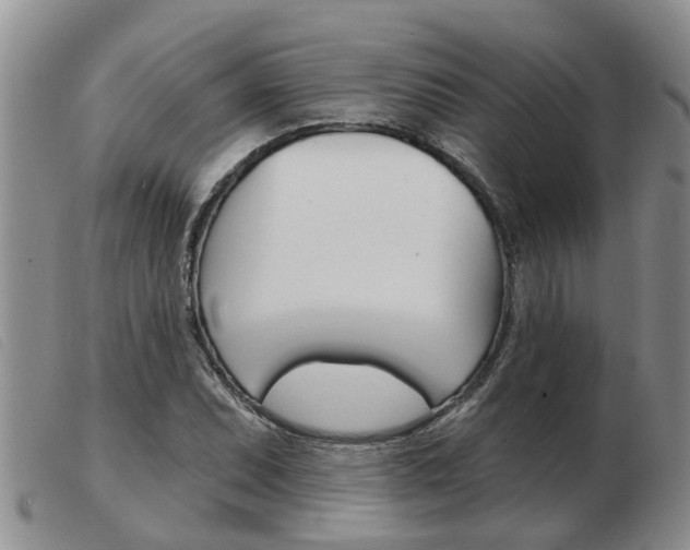 X0000103931071200809191118