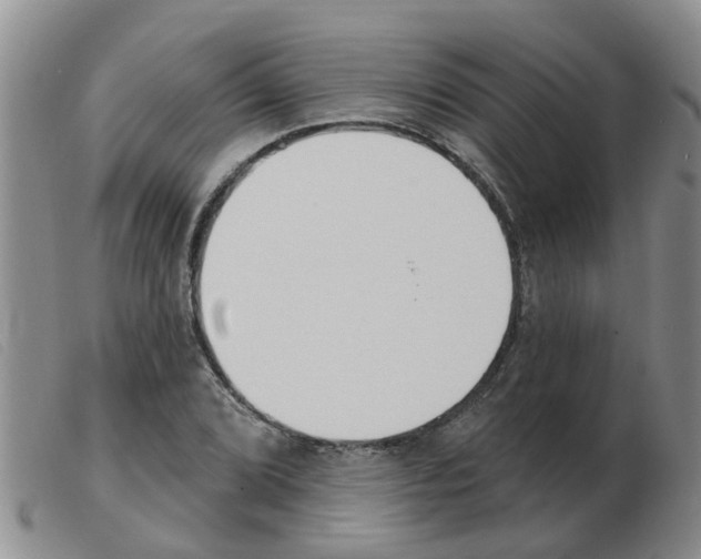 X0000103931072200809191117