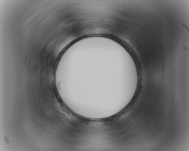 X0000103931073200809191117