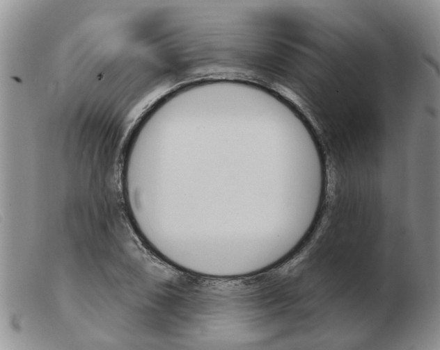 X0000103931074200809191117