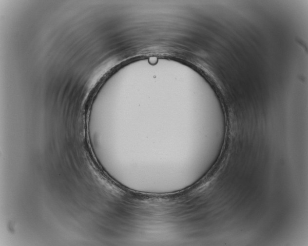 X0000103931075200809191117