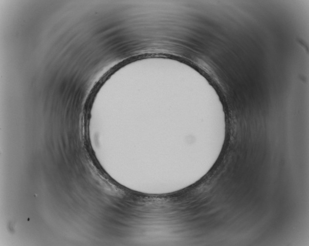 X0000103931076200809191117