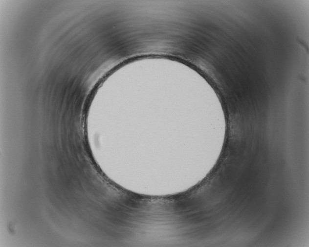 X0000103931077200809191117