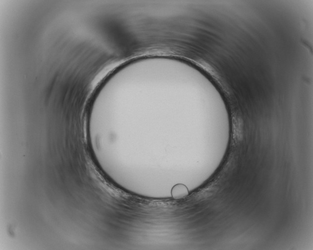 X0000103931078200809191117