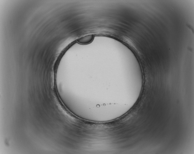 X0000103931079200809191117
