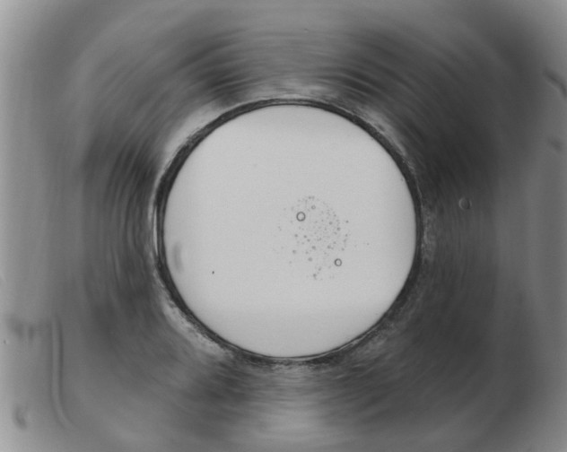 X0000103931080200809191117