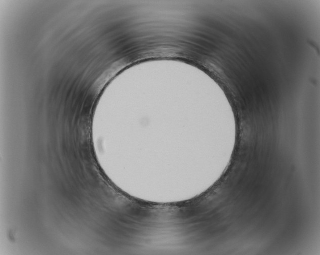 X0000103931081200809191117