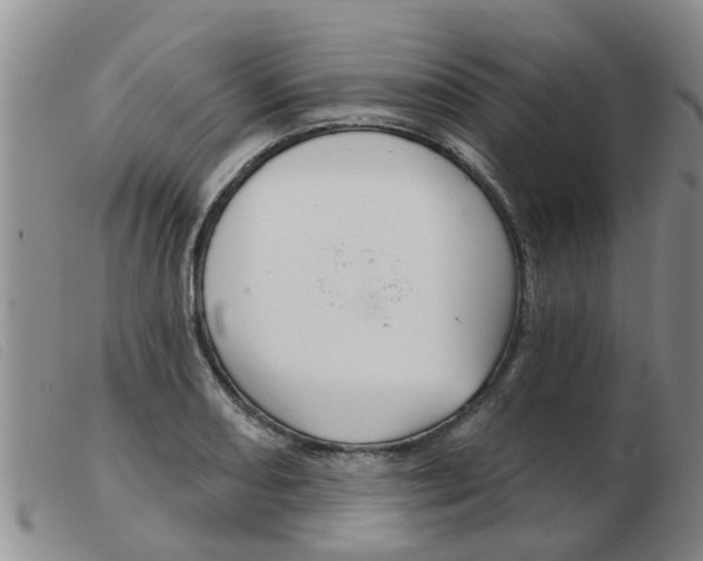 X0000103931082200809191117