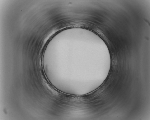X0000103931083200809191117