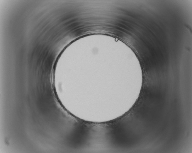 X0000103931084200809191117