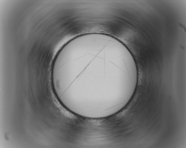 X0000103931086200809191117