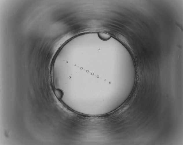 X0000103931087200809191117