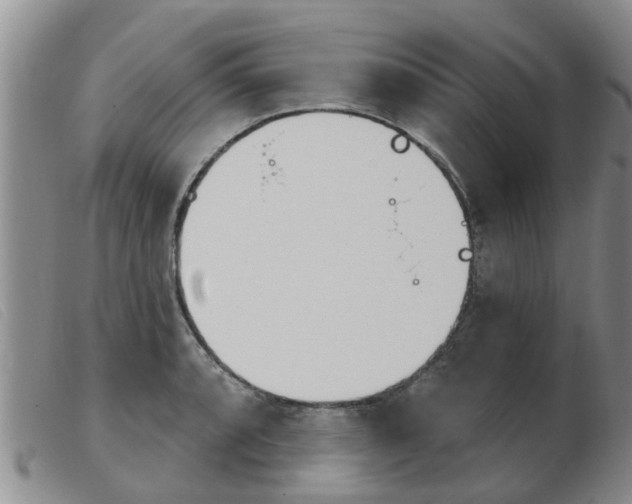 X0000103931088200809191117