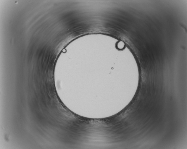 X0000103931089200809191117
