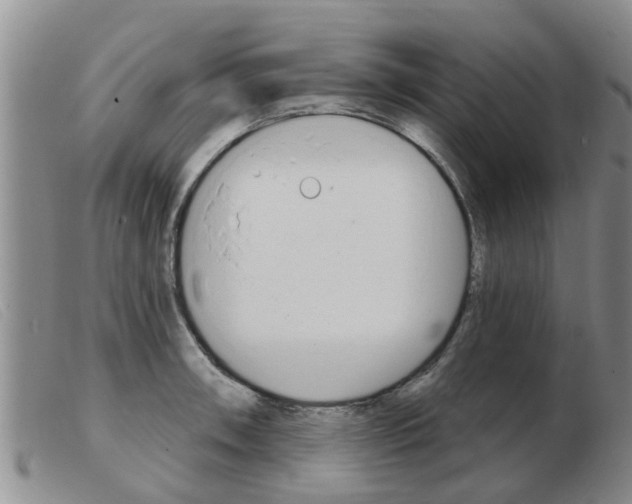 X0000103931090200809191117