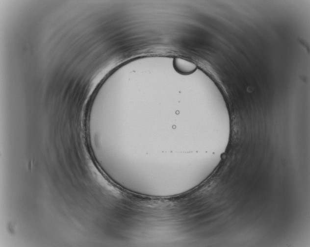 X0000103931091200809191117