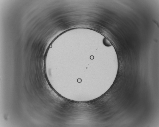 X0000103931092200809191117