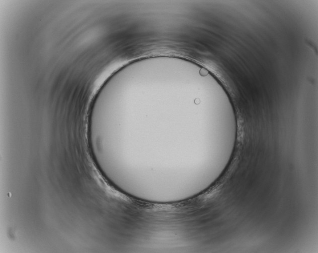X0000103931094200809191117