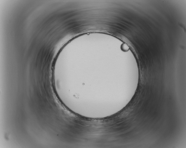 X0000103931096200809191117