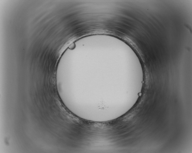 X0000103931097200809191117