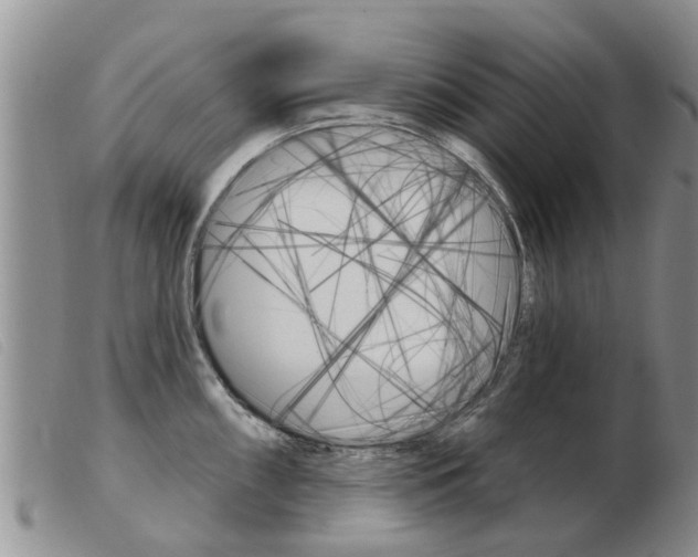 X0000103931098200809191117