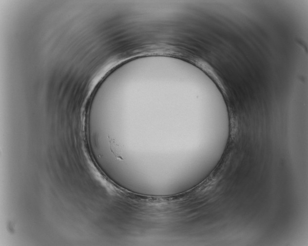 X0000103931099200809191117