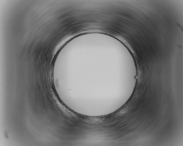 X0000103931101200809191117