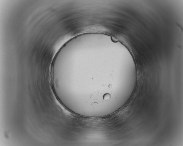 X0000103931103200809191117