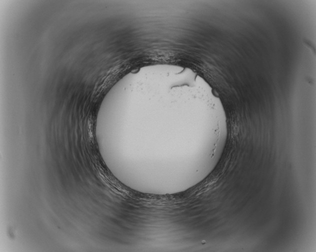 X0000103931106200809191116